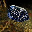 _DSC0327 copy